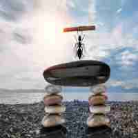 爱​助​攻‌官​网‍